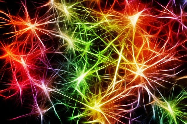 Brain Facts 1: Neurons